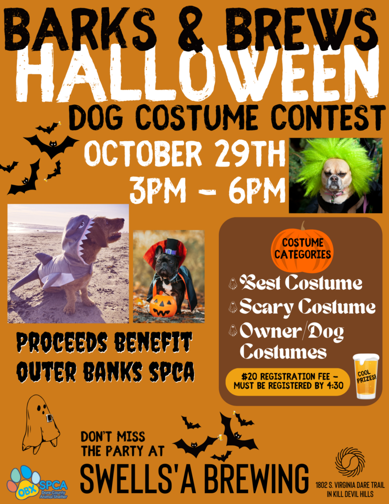 Orange Halloween Pet Costume Party Flyer Template